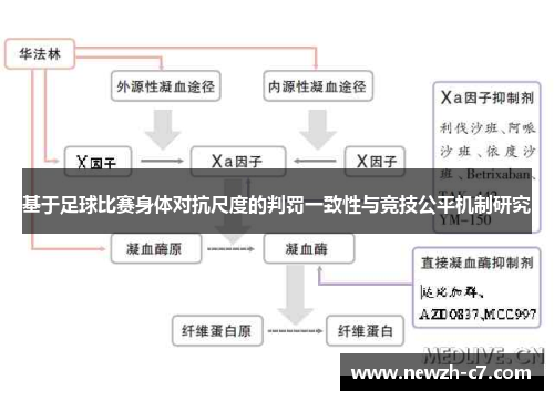 基于足球比赛身体对抗尺度的判罚一致性与竞技公平机制研究 基于足球比赛身体对抗尺度的判罚一致性与竞技公平机制研究