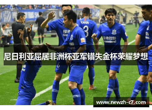 尼日利亚屈居非洲杯亚军错失金杯荣耀梦想